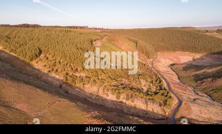 Luftaufnahme von nicht-einheimischen Forstplantagen rund um das Llyn Brianne Reservoir, Powys, Wales, Großbritannien Stockfoto