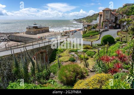 Die Cascade Gardens und das Meer in Ventnor an der Südküste der Isle of Wight UK Stockfoto