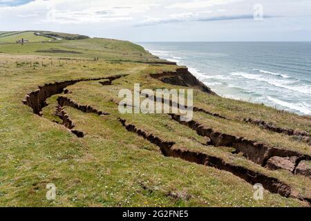 Abrutschen der Wealden-Klippen an der Südküste der Isle of Wight in Hampshire, Großbritannien Stockfoto