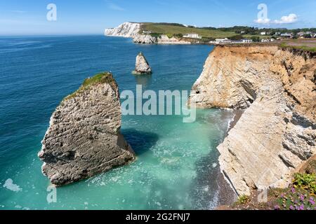 Freshwater Bay von Kreidefelsen auf Afton Down auf der Isle of Wight in Hampshire, Großbritannien Stockfoto