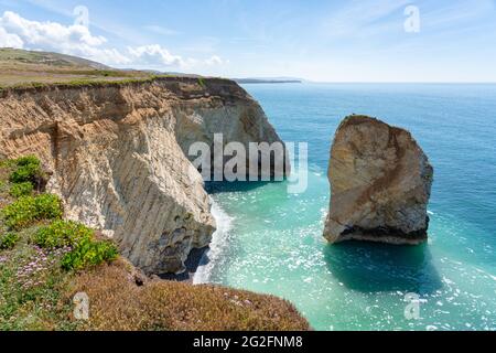 Blick von der Freshwater Bay entlang der Kreidefelsen und der Südküste der Isle of Wight Hampshire UK Stockfoto