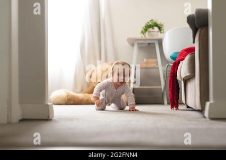 Kaukasische niedliche Baby kriechen auf dem Boden zu Hause Stockfoto