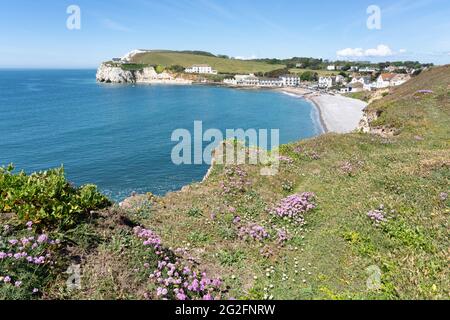 Freshwater Bay von Kreidefelsen auf Afton Down auf der Isle of Wight in Hampshire, Großbritannien Stockfoto