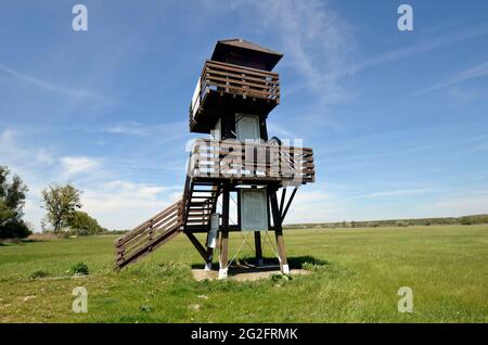 Andau, Österreich - 04. Mai 2021: Aussichtsturm am Grenzübergang mit dem Namen Eiserner Vorhang - entlang der österreichisch-ungarischen Grenze im Burgenland wo Stockfoto