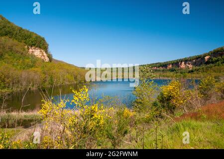 "Carrière Barrois "Steinbruch mit seinem großen roten Sandsteinfelsen und Teich, Wald, Freyming-Merlebach Wardnt, Mosel (57), Grand Est, Frankreich Stockfoto