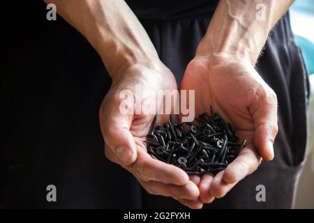 Schwarze kleine selbstschneidende Schrauben für Stahlprofil von Trockenbau auf junge Erwachsene Mann Hand auf hellgrauem Tischhintergrund. Geöffnete Handfläche. Nahaufnahme. Stockfoto