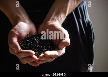 Schwarze kleine selbstschneidende Schrauben für Stahlprofil von Trockenbau auf junge Erwachsene Mann Hand auf hellgrauem Tischhintergrund. Geöffnete Handfläche. Nahaufnahme. Stockfoto