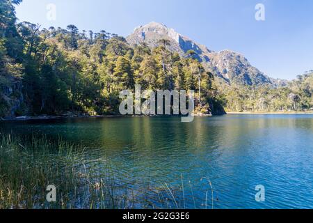 Laguna Toro See im Nationalpark Huerquehue, Chile Stockfoto