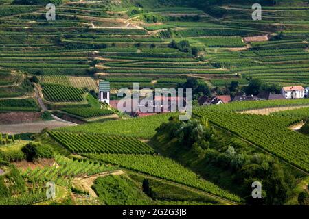 Kirche in den Weinbergen im Herbst, Oberbergen, Vogtsburg Im Kaiserstuhl, Baden-Württemberg, Deutschland Stockfoto