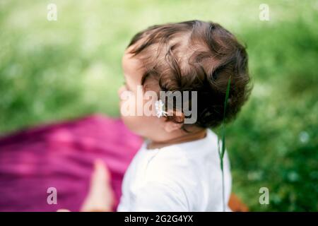 Das kleine Mädchen mit einer Kamille hinter ihrem Ohr sitzt auf dem Rasen. Draufsicht Stockfoto