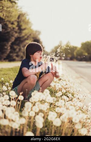 Kleiner Junge, der an einem sonnigen Sommertag mit einer Blume aus dem Dandelion bläst. Stockfoto