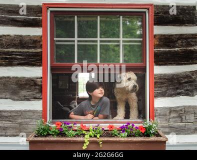 Junge und Hund blicken am Sommertag aus dem offenen Fenster der Blockhütte. Stockfoto