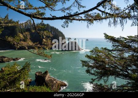 Sea Stacks, Eingerahmt Von Bäumen An Der Rugged Oregon Coast Stockfoto