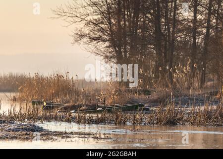 Europa, Polen, Woiwodschaft Podlachien, Narew Nationalpark, Waniewo Stockfoto