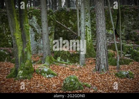 Druidenhain in der Fränkischen Schweiz, Bayern Stockfoto