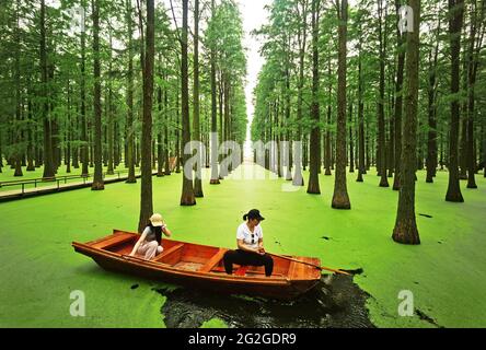 Yangzhou China. Juni 2021. Zwei Personen in einem Ruderboot genießen den Wasserwald im Yangzhou Luyang Lake Wetland Park. Metasequoia, Teichzeder und andere Bäume sehen aus wie eine grüne Bildrolle vor dem Hintergrund der Entenklau auf dem Wasser. Touristen reisen durch den Wald, wie eine Person, die mitten in einem Gemälde läuft. Quelle: SIPA Asia/ZUMA Wire/Alamy Live News Stockfoto