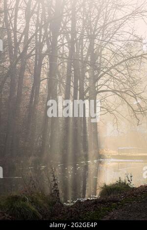 Ludwig-Donau-Main-Kanal im Herbst, Mittelfranken, Bayern Stockfoto