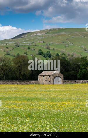 Hochland-Wildblumenwiesen mit traditioneller Steinscheune in, Muker, Swaledale, Yorkshire Dales National Park, Großbritannien. Stockfoto