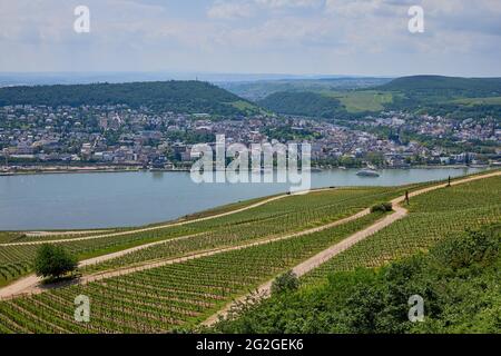 Blick von Germania in Rüdesheim auf die Stadt Bingen in Rheinland-Pfalz Stockfoto