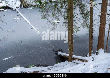 Teich im Wald, Wernloch im Winter, Mittelfranken, Bayern Stockfoto