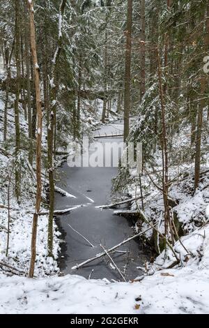 Teich im Wald, Wernloch im Winter, Mittelfranken, Bayern Stockfoto