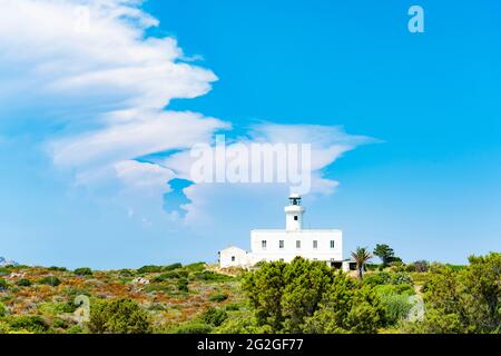 Atemberaubende Aussicht ein weißer Leuchtturm, umgeben von einer grünen Vegetation an einem schönen sonnigen Tag. Cala Del Faro, Porto Cervo, Costa Smeralda, Sardinien. Stockfoto