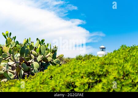 Atemberaubende Aussicht ein weißer Leuchtturm, umgeben von einer grünen Vegetation an einem schönen sonnigen Tag. Cala Del Faro, Porto Cervo, Costa Smeralda, Sardinien. Stockfoto