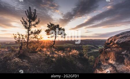 Kleine Kiefer bei Sonnenuntergang mit Blick von Lilienstein im Elbsandsteingebirge Richtung Dresden. Stockfoto