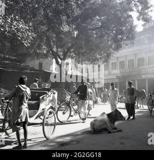 1950er Jahre, historisches Foto von J Allan Cash von einer Straßenszene in Benares, Indien, mit Einzelhandelsgeschäften, Einheimischen und Rikstrohfahrern mit Transport. In der Mitte der Straße liegt auch eine Kuh auf dem Boden. Die Kuh wird in der hinduistischen Religion als heilig verehrt, wie sie von der Mehrheit der Menschen in Indien praktikiert wird, und streunende Kühe waren in dieser Zeit - und noch heute - ein gemeinsamer Ort in Städten und Dörfern. Viele Teile Indiens verbieten die Schlachtung von Rindern, und es gibt Gesetze zum Schutz des Tieres. Stockfoto