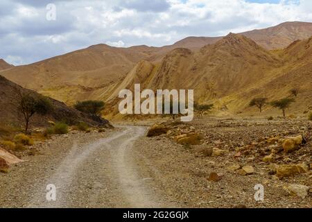 Blick auf den Nahal Shlomo (Wüstental). Eilat-Gebirge, Südisraelisch Stockfoto