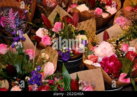 Kopenhagen, Dänemark. 11. Juni 2021, Blumenstrauß zum Verkauf und Blumen werden aus den Niederlanden eingeprägt. (Foto..Francis Joseph Dean/Dean Bilder) Stockfoto