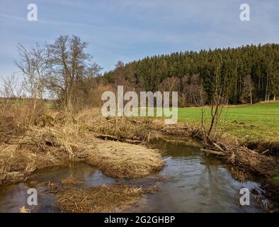 Wintertag am Schmutter, Naturpark Augsburger Westwälder, Stockfoto