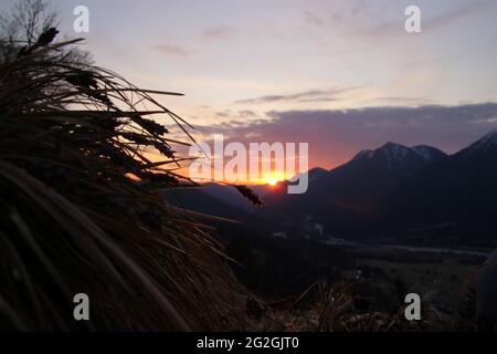 Die Gräser warten auf den Sonnenaufgang in Krepelschrofen bei Wallgau, Europa, Deutschland, Bayern, Oberbayern, Isartal, Werdenfelser Land, Wallgau Stockfoto