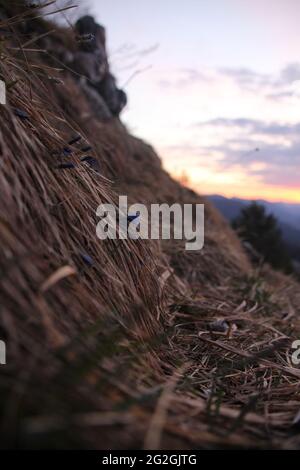 Sonnenaufgang in Krepelschrofen bei Wallgau, Europa, Deutschland, Bayern, Oberbayern, Isartal, Werdenfelser Land, Wallgau Stockfoto