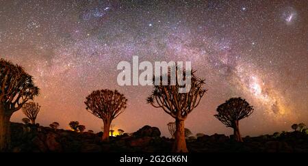 Quivertree Wald unter der Milchstraße bei Ketmanshoop Stockfoto