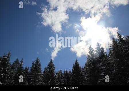 Wanderung vom Wildensee in Richtung Mittenwald, Traumhater Blick in den Himmel, davor der schneebedeckte Fichtenwald, Europa, Deutschland, Bayern, Oberbayern, Mittenwald, Werdenfelser Land, Isartal Stockfoto