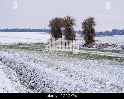 Wintertag im Schmuttertal, Stockfoto