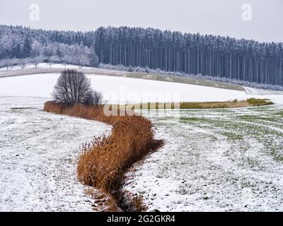 Wintertag im Schmuttertal, Stockfoto