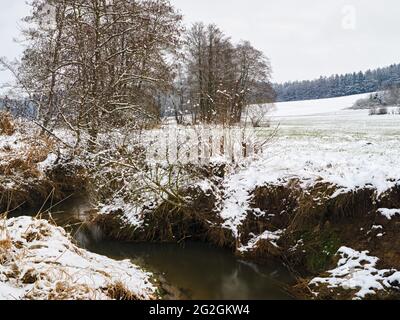 Winter im Holzwinkel, Naturpark Augsburger Westwälder, Stockfoto