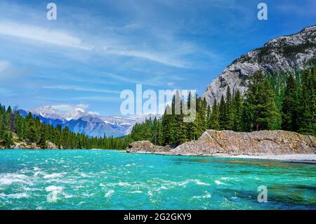 Das schnell fließende Wasser des Bow River im Banff National Park mit umliegenden Pinien und den schneebedeckten kanadischen Rockies im Hintergrund. Stockfoto