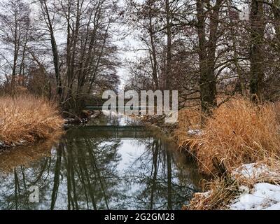 Wintermorgen am Schmutter, Naturpark Augsburger Westwälder, Stockfoto