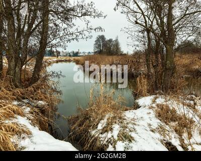 Wintermorgen am Schmutter, Naturpark Augsburger Westwälder, Stockfoto