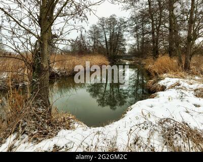 Wintermorgen am Schmutter, Naturpark Augsburger Westwälder, Stockfoto