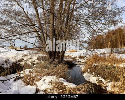 Wintertag am Schmutter, Naturpark Augsburger Westwälder, Stockfoto