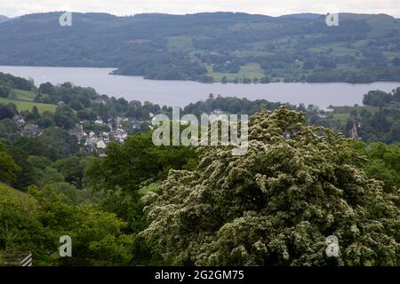 Die Stadt Ambleside und Lake Windermere, Lake District, Cumbria England Stockfoto