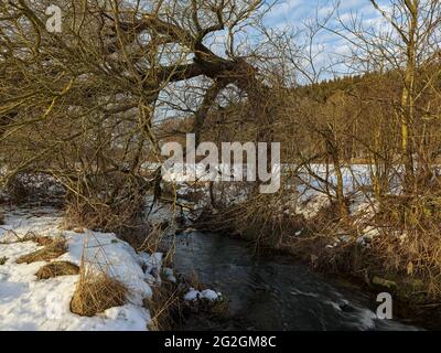 Wintertag am Schmutter, Naturpark Augsburger Westwälder, Stockfoto