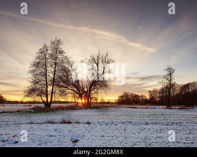 Wintertag in den Schmutterauen, Naturpark Augsburger Westwälder, Stockfoto