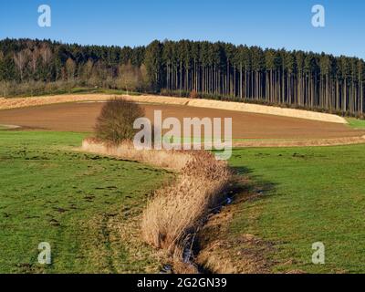 Wintertag im Schmuttertal, Stockfoto