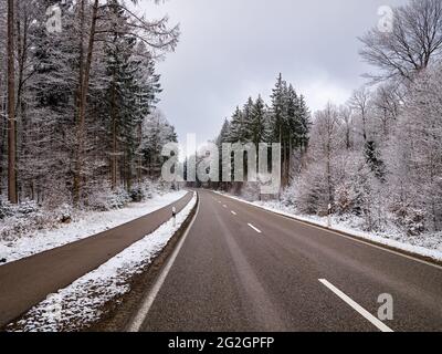 Im Naturpark Augsburger Westwälder, Stockfoto