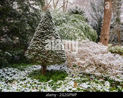 Winter im Japanischen Garten, Botanischer Garten Augsburg, Stockfoto